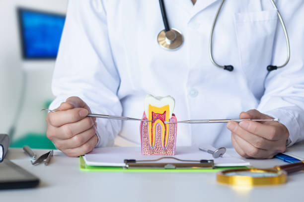 Best Emergency Dental Services for Seniors in Runaway Bay, TX
